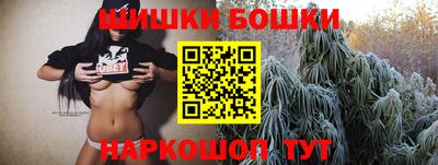 Альфа ПВП Обь
