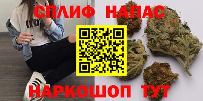 Альфа ПВП Обь
