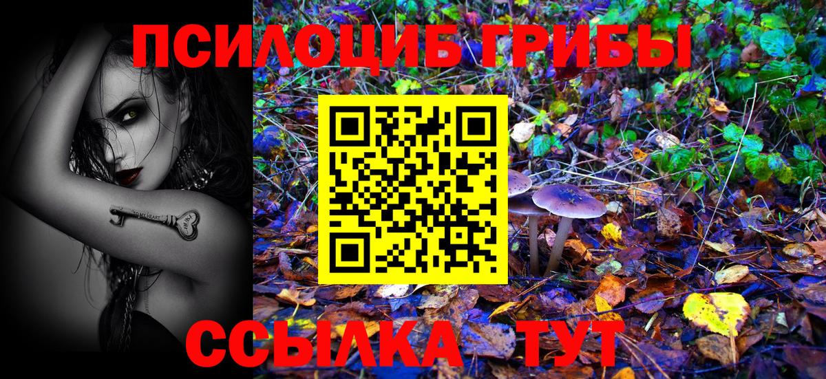 Усть-Джегута  Псилоцибиновые грибы Psilocybe  Вход с VPN 