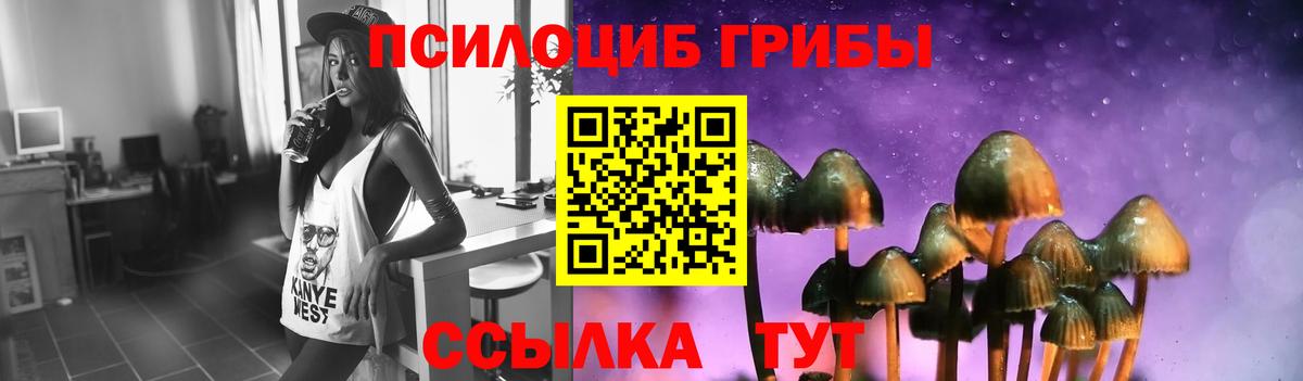 Галлюциногенные грибы Cubensis Усть-Джегута